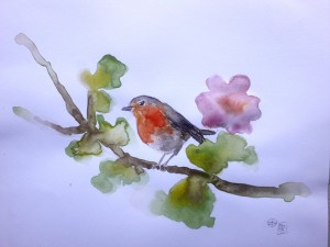 Usignolo Pettirosso Merlo Cardellino acquerello watercolors uccelli arte Stella Ehinar pittura acquerelli (4)