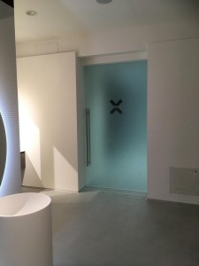 porta vetro satinato porte in vetro porte di vetro porte arredamento vetro treviso pordenne udine trieste venezia (10)