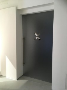 porta vetro satinato porte in vetro porte di vetro porte arredamento vetro treviso pordenne udine trieste venezia (20)